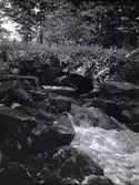 Gamla landsvägsbron i närheten av Tuna gård.