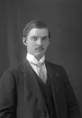 Aron Stenberg, Lövriset, Ovanåker