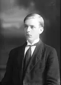 Harald Pettersson, Harnäs