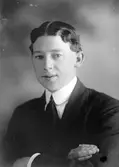 Josef Hillman, Varva, Hille