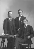 Albin Axner, Gåsholma, Axmarby, Bergby