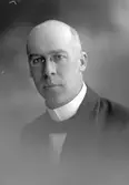 Lantmätare David Svensson, Ljusdal