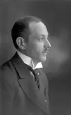 Wilhelm Wiberg, Karlholms bruk