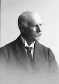Grosshandlare, Stadsfullmäktige Abraham Mattsson,
Staketgatan 9, Gävle