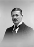 Grosshandlare Nils Forsberg, Runebergsvägen 15, Gävlle