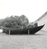 Storöka på Kalmar slott.