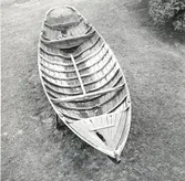 Storöka vid Kalmar slott.