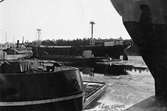 Fartyg på Ekensbergs varv 1970; i i bakgrunden ses bl a passagerarångfartyget MARIEFRED (1903) och det tidigare lastångfartyget MONARK (1917, ex MASILIA).