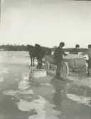 Folk som lastar isblock på en vagn på Tunasjön i närheten av Tuna gård. Det lades upp ett lager av is mellan mejeriet och matboden. Isen täcktes med sågspån och där hämtades is för hushållsbehov.