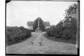 Två st. bostadshus.En man med häst.A. Lindström