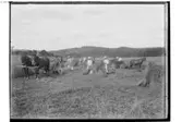 Skördearbete, 14 personer.
Ett par hästar spända för skördemaskin. En häst spänd för höskrinda.
Anders Andersson