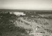 Flygfoto över Borgholms slottsruin.