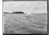 Segelsällskapet Hjälmaren.
Grosshandlare Wiktor Johanssons segelbåt, Greta.