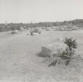 Åverkan på gravfält på Köpings klint.