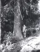 En pojke med sorgband vid en gran.