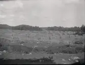 Höhässjor utanför Tuna gård.