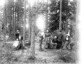 Grupp vid Mossbänken i Holsbybrunn år 1898.
