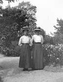 Två unga kvinnor i trädgården






