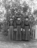 Tre kvinnor i trädgården






