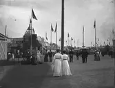Utställningsområdet vid 1901 års utställning (nordvästra delen av Gävle mellan Skomakargatan och Rådhusesplanaden mot Valbogatan). Foto 1901.