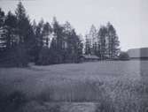 Detta är ett foto på Lillholmestugan och dess nya plats i parken på Tuna Herrgård. Till höger kan man skymta en av herrgårdens ekonomibyggnader. Hugo Hammarskjöld valde att flytta stugan till herrgården i början av 1920-talet.