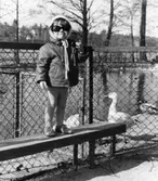 Trollhättan, Spikön. Kerstin.