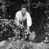 Militärövning 1958 