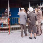 En grupp personer betraktar barn som åker karusell. En äldre dam passar på att osed åka ett varv med karusellen.