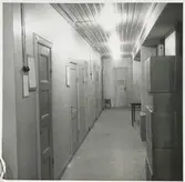 Lagret. Kirudds konfektionsindustri, Vänersborg.