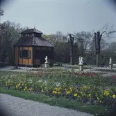 Blommande vårblommor i Rosenträdgårdens välskötta rabatter. I bakgrunden beundrar Swedenborgs lusthus fyra figurer som dansar i den färgrika blomsterprakten.