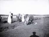 Två damer med några hästar i närheten av Tuna gård.