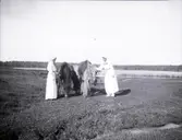 Två damer med några hästar i närheten av Tuna gård.