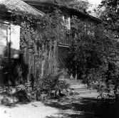 Fäbodstuga inom stadens gränser. Nybergs fäbodstuga, Korsnäs Sågverks AB.
