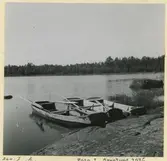 Ekor i Arvesjön nedanför Sjöbo.