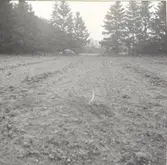 Foto:Amanuens B-M.Hammarskiöld sept-1967
Före undersökningen från söder.