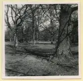 Jutehagen i Ingamåla.