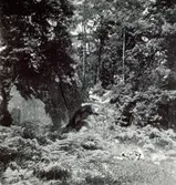 Jätteflyttblock vid rastställe invid gammal gångväg till Arby kyrka. Mjödehult.