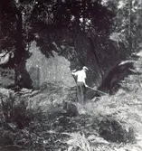 Jätteflyttblock vid rastställe invid gammal gångväg till Arby kyrka. Mjödehult.
