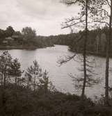 En skog och sjö mellan Falsterbo och Hjorted.
