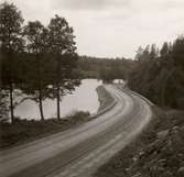 En väg mellan Falsterbo och Hjorted.