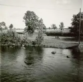 Norr om bron över Emån.