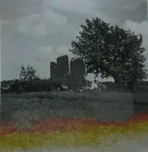 Odens flisor, Gärdslösa socken. Söder om vägen Högsrum-Sättra står stora resta stenhällar väl synliga från vägen. De två största flisorna är 3 respektive 2,5 meter höga. Flisorna som står resta intill varandra har en sammanlagd bredd av 3 meter. På det fält där flisorna står har påträffats vikingatida gravar vilket ger en antydan om monumentets ålder.