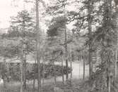Rumskulla socken
Norra kvill
Nationalparken

Foto E. Barkstam, Vimmerby, 1946