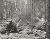 Rumskulla socken
Norra kvill
Nationalparken

Foto E. Barkstam, Vimmerby, 1946