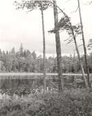 Rumskulla socken
Norra kvills nationalpark

Foto Barkstam 1946