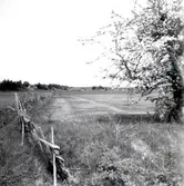 Slätten vid kyrkan i Lofta.