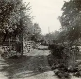 Valåkra nummer tre. Gatan ner till Erlandssons uthusbyggnader.