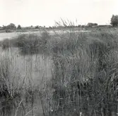 Träsk strax väster om Långlöt station vid landsvägen.
