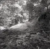 En gångstig och resterna av Norrby brunn, hälsobrunn som har haft en överbyggnad.