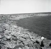 Stranden vid Sandby borg.